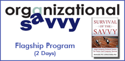 Organization Savvy Workshop